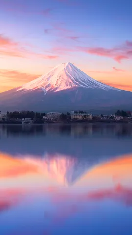 Wind of Fuji, my souvenir from Edo