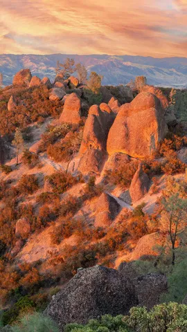 Born from fire, built to last