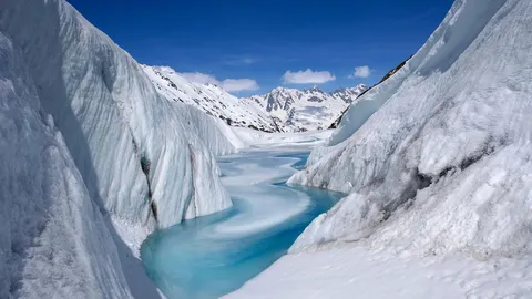 Un glacier en danger