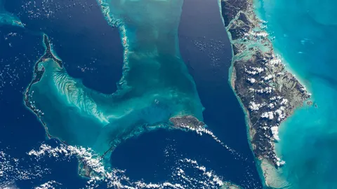 A dive into the blue