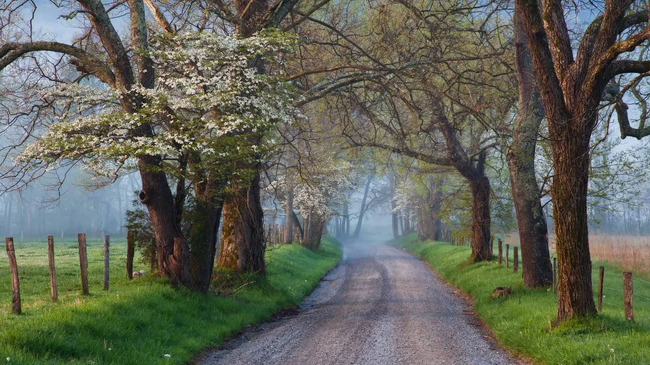 The road not taken