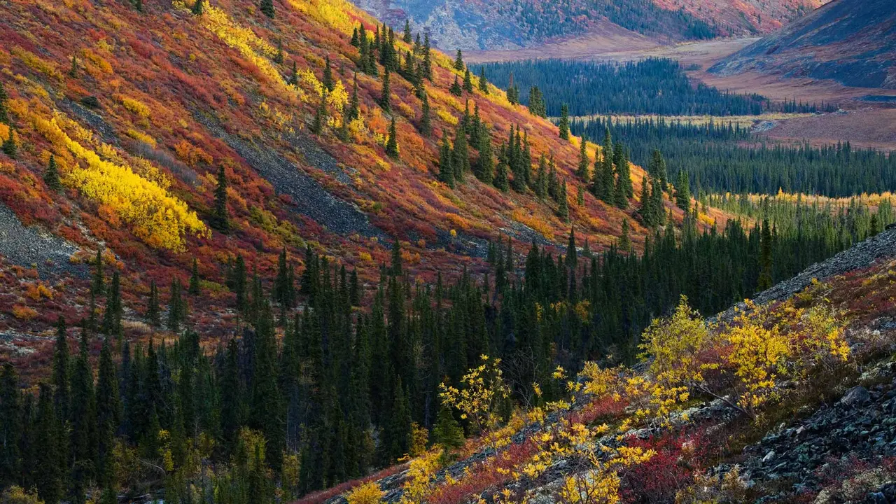 Crisp leaves, cool breeze