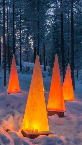Il bosco magico di Babbo Natale