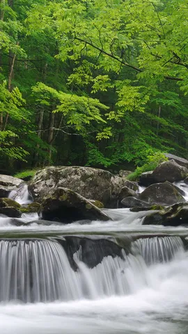 Dolce canta la corrente