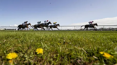 Hold your horses&mdash;it's race time!