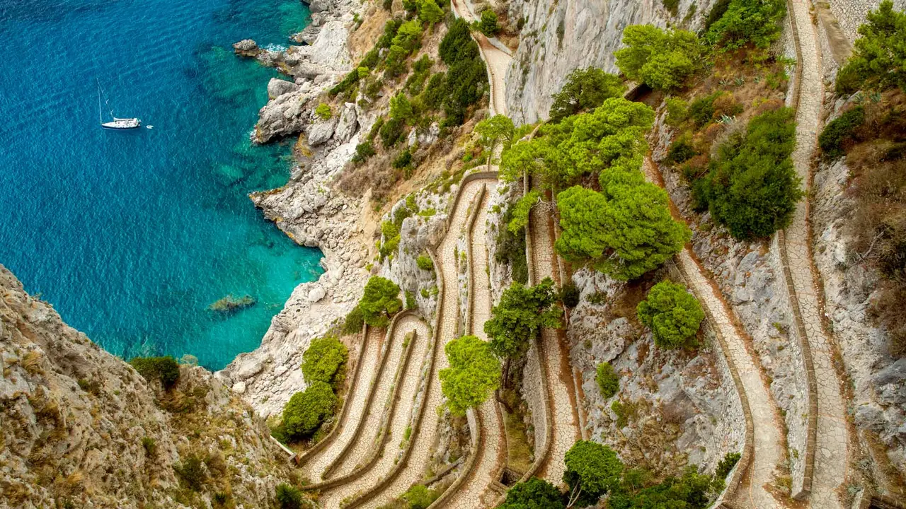 Slow and steady climbs the cliff