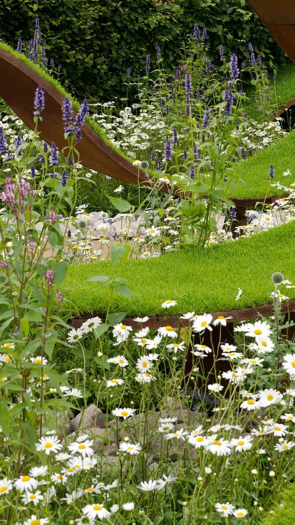 'Sow' much to see and do