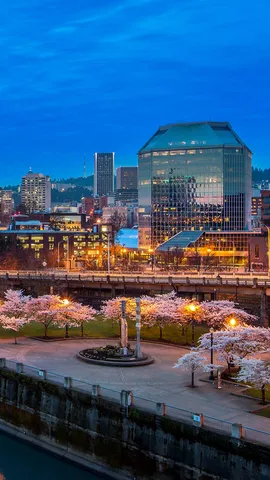 桜が彩る都市公園