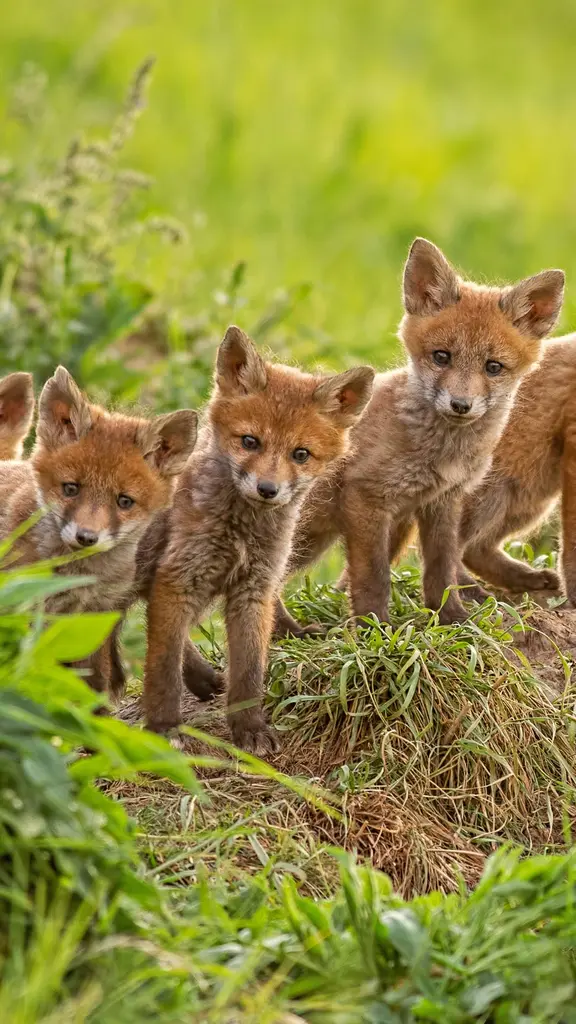 Un lien fraternel et universel