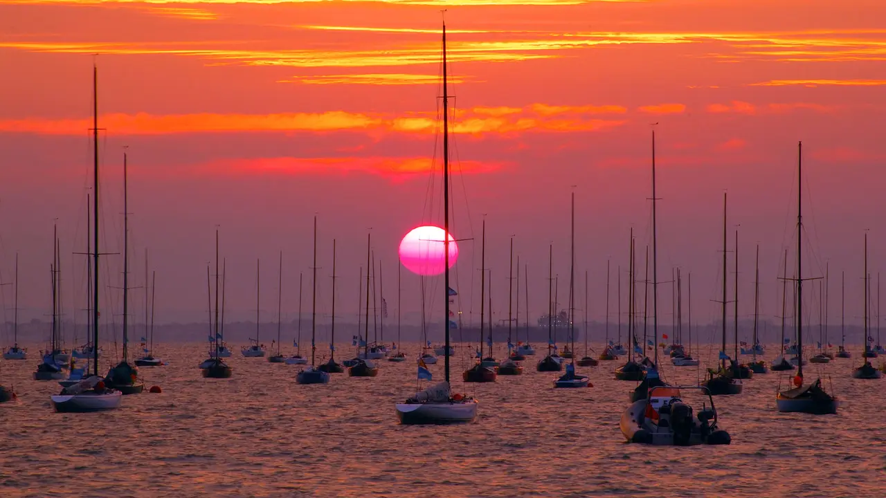A sail-ebration