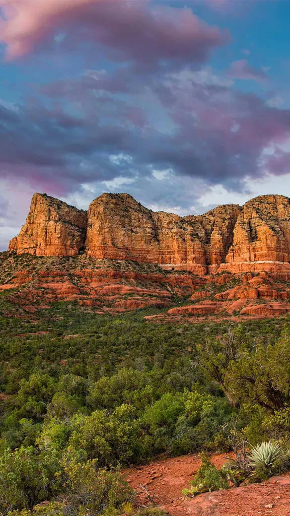 A vortex state of mind