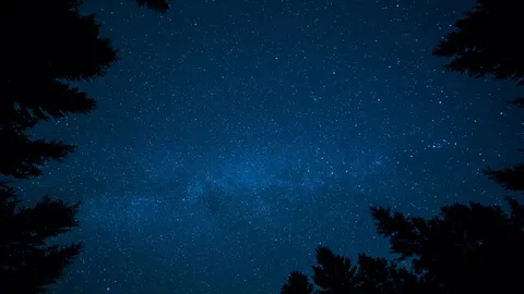 Chi vedr&agrave; pi&ugrave; stelle cadenti?