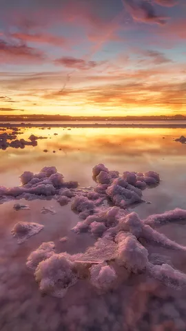 粉红色，很好看