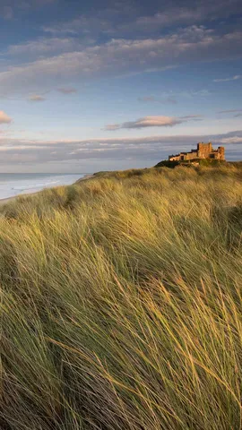 Crescendo com o vento