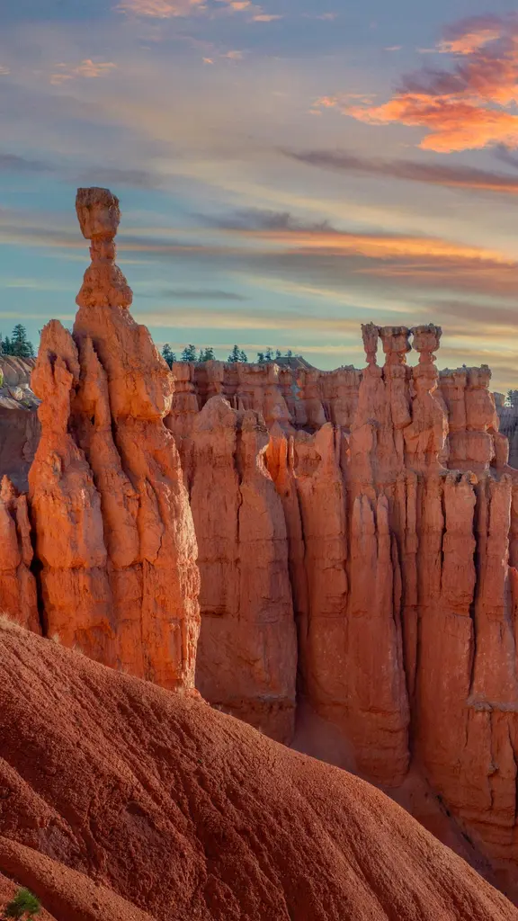 Ein Wald aus Steinen