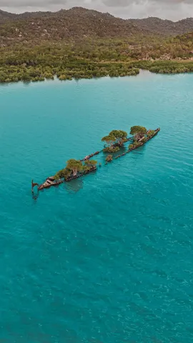 航拍生长着树木的遇难船&ldquo;阿德莱德市&rdquo;残骸，澳大利亚磁岛