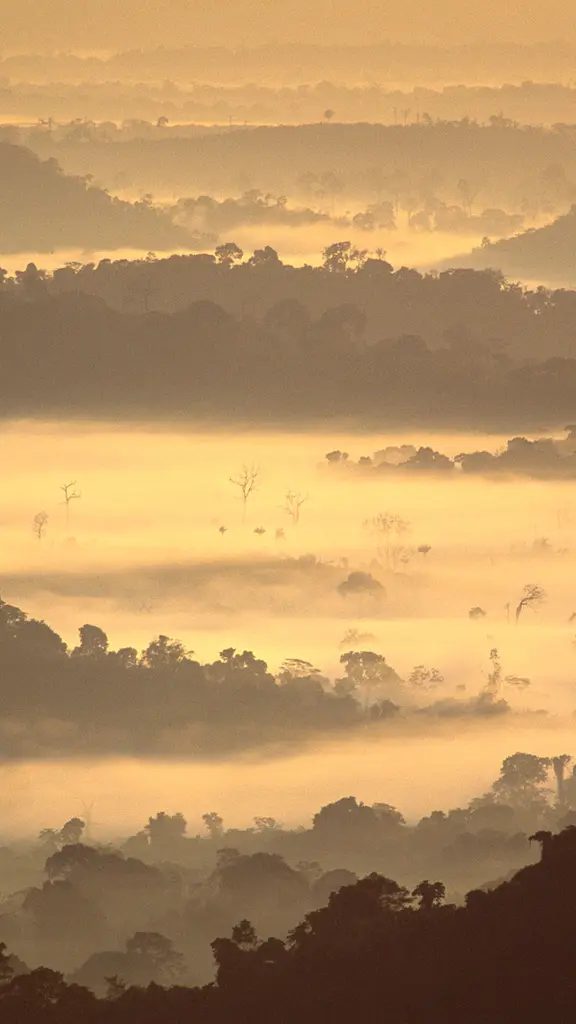 Getting lost in the mist