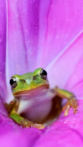 Saltando hacia abril