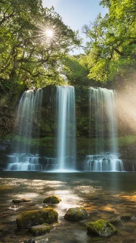 森の中に流れ落ちる滝