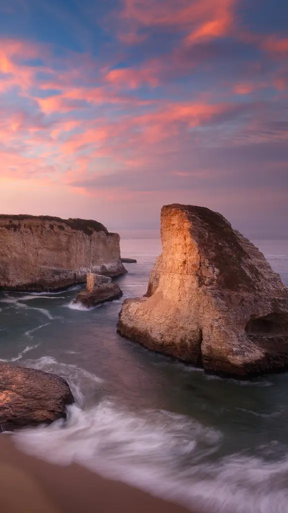 「サメ」が見守る海岸