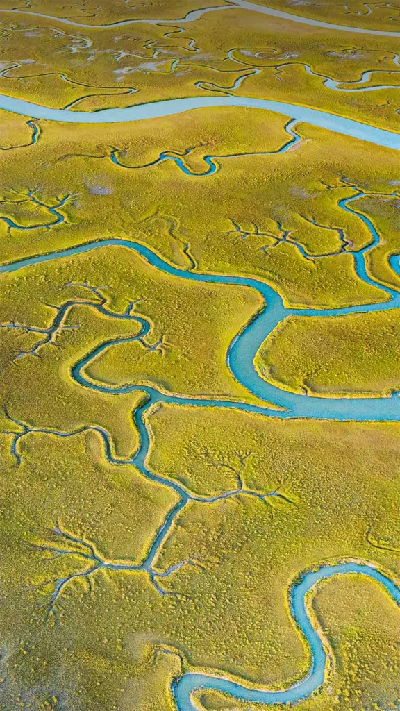 鸟瞰Mockhorn岛野生动植物管理区沼泽地内的潮汐通道，弗吉尼亚