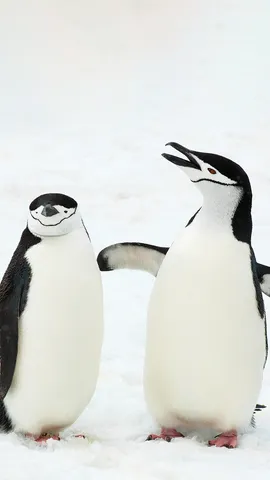 They've got some things to say