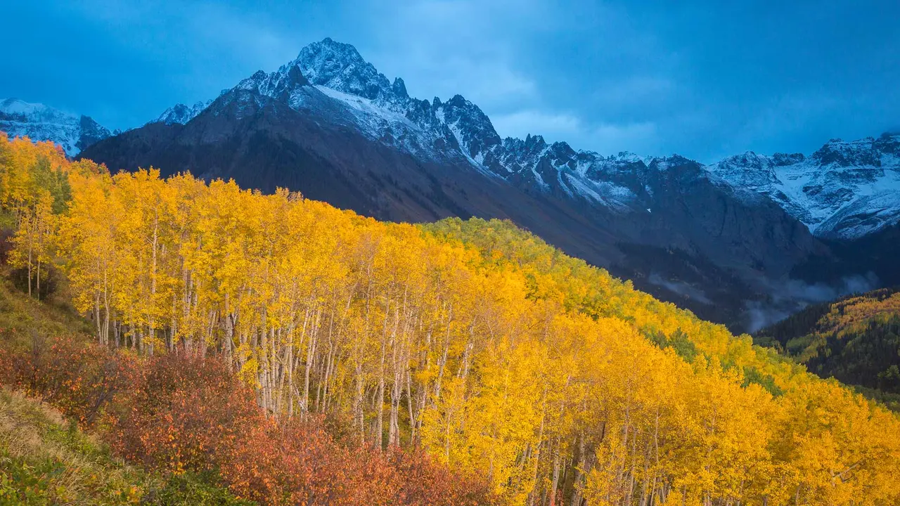 Autumn colours below Mount Sneffels near Ridgway, Colorado, United States