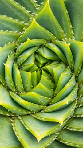 Verborgene Geheimnisse der Natur