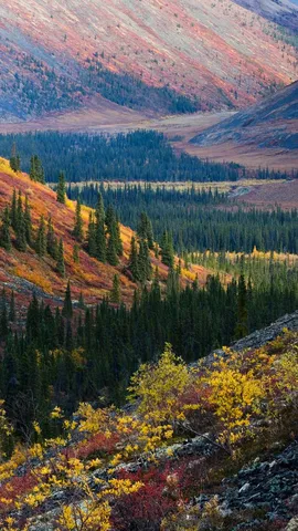 Crisp leaves, cool breeze