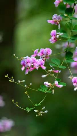 今日は秋分の日