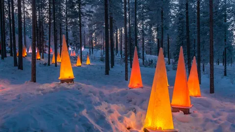 Il bosco magico di Babbo Natale
