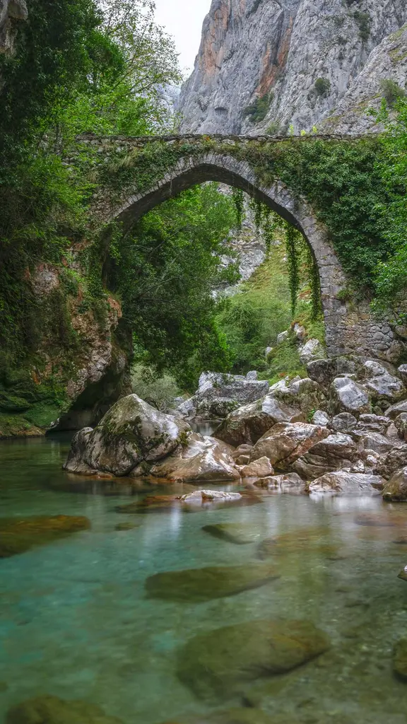 &iexcl;Un gran d&iacute;a para pasear!