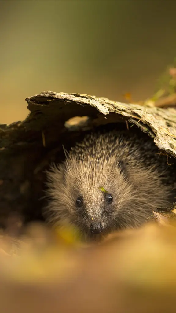 Questo posto &egrave; occupato