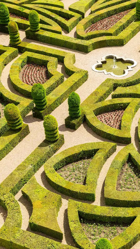 絢爛たる迷宮庭園