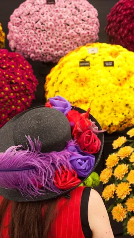 A peony for your thoughts