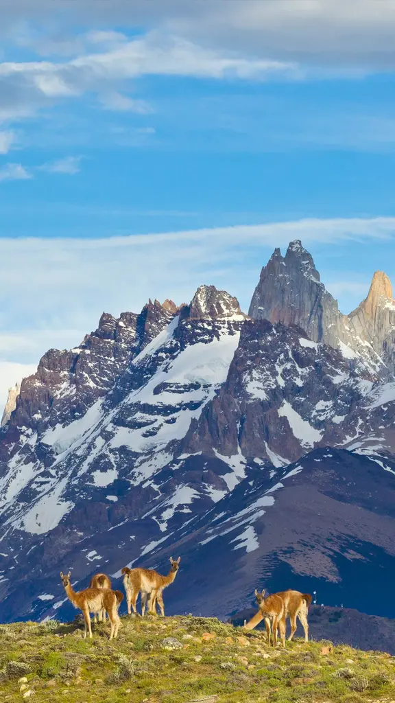 Un paisaje que llama la atenci&oacute;n