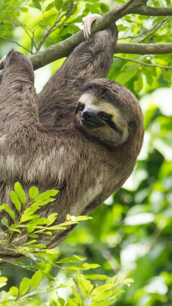 No embalo do conhecimento