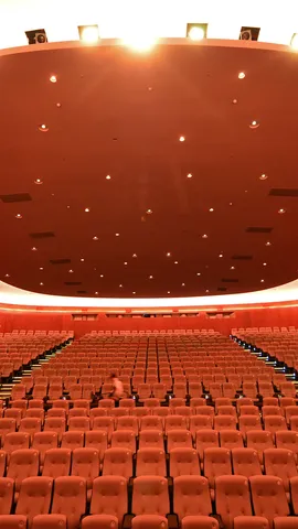 Filmkunst, Vielfalt und Tradition