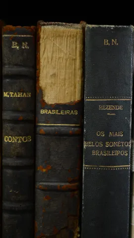 Riqueza e diversidade lingu&iacute;stica