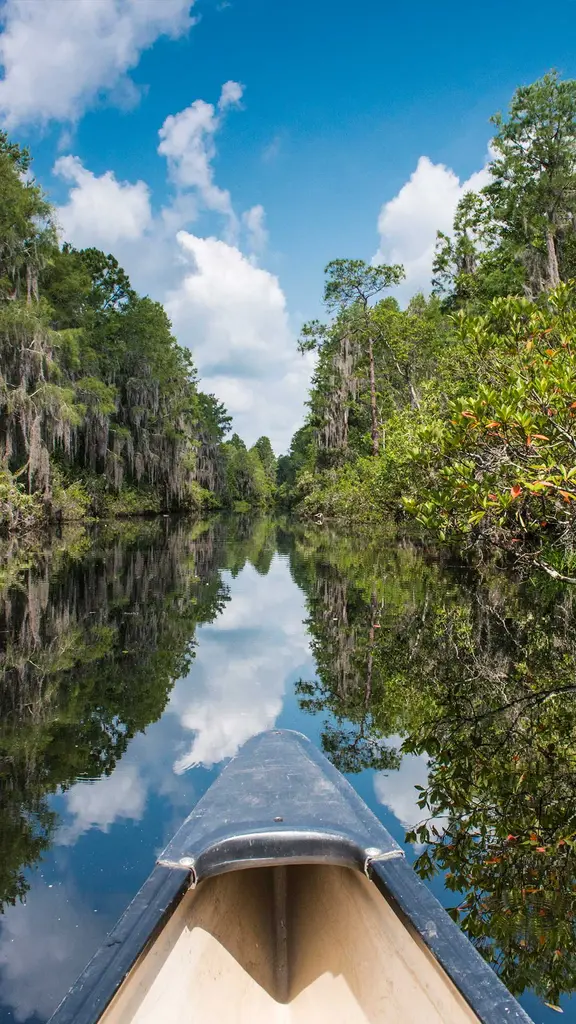 一片平静的水域