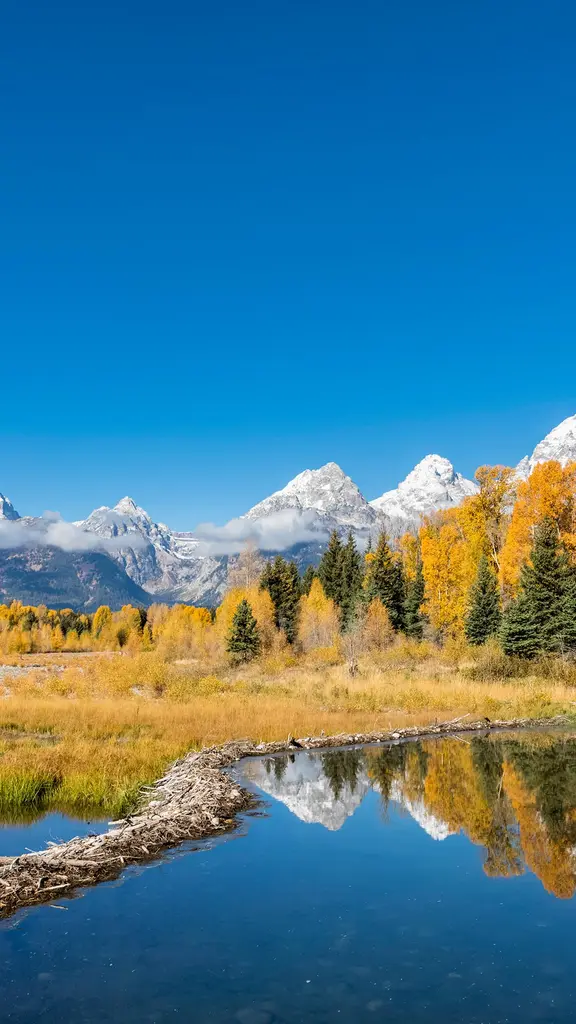 La beaut&eacute; &agrave; l'&eacute;tat pur