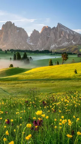 Facciamo una bella arrampicata!