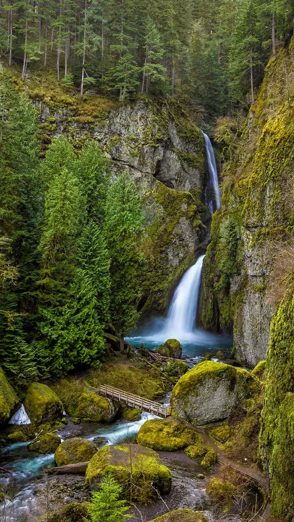 尽情地嬉戏玩水吧！