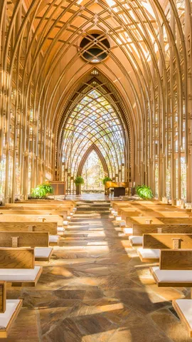 Sanctuary among the trees