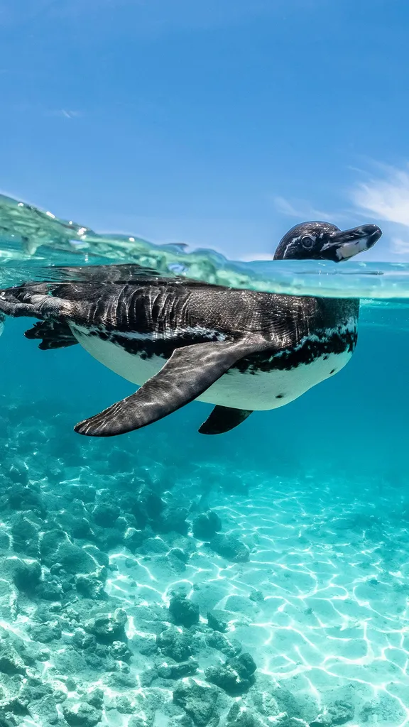 Breaking the penguin rules