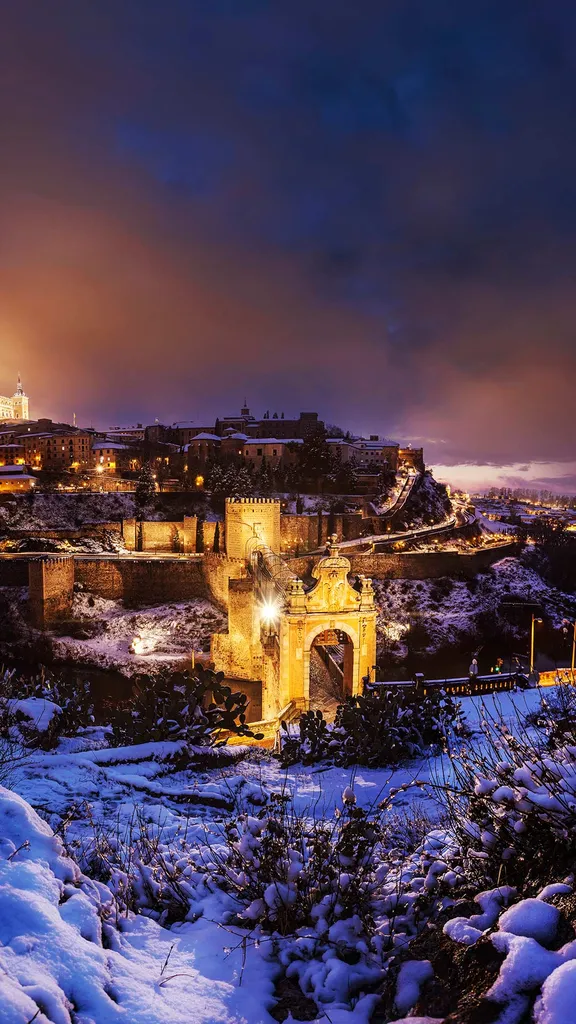 Escarcha y luces festivas