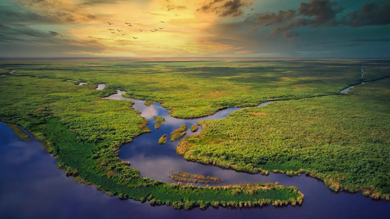Aerial view of Everglades National Park, Florida, United States