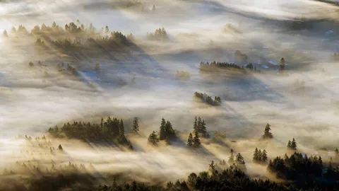 Behind a blanket of mist
