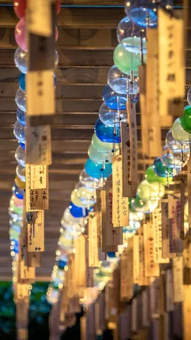 「縁結び風鈴」開催中