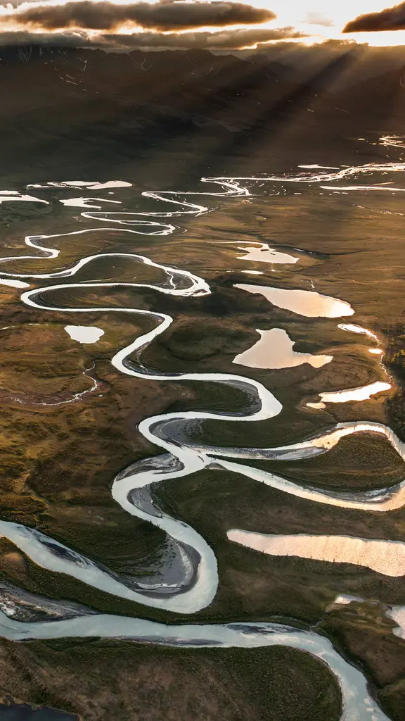 La danza salvaje del r&iacute;o